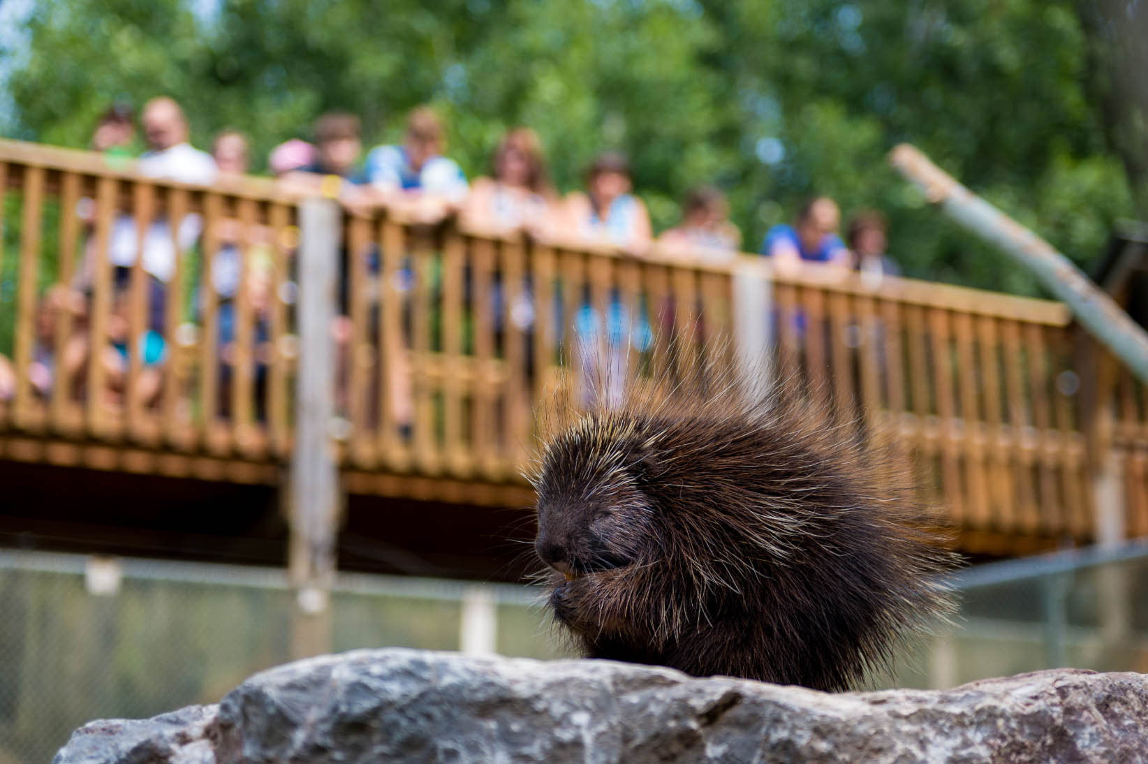 Bioparc de la Gaspésie